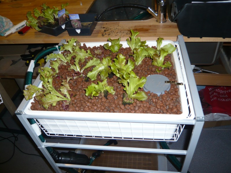 2013-03-26_21-39-16.jpg 2013-03-26_21-39-16.jpg