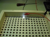 Test der ersten Zeile: Alle Kathoden sind miteinander verlötet und an dem äußersten Kathodenbeinchen ist die negative Elektrode des Labornetzteils angeklemmt. Die positive Elektrode sollte nun an jeder Anode die jeweilige LED zum Leuchten bringen.