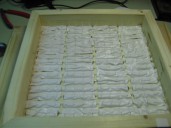 Weißes Isolierband in Vierergruppen, durchstochen von den noch abstehenden Anoden.