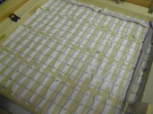 Das Innenleben der Matrix bei geöffneter Revisionsklappe